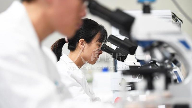 CDMO项目报价背后的隐藏成本揭秘