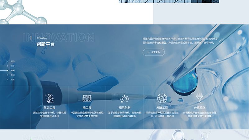 生物医药制剂代工：揭秘十大品牌背后的行业秘密