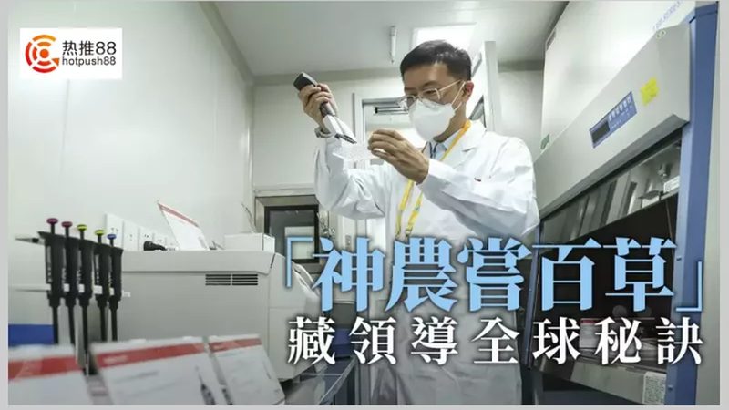 治疗性单克隆抗体定制：揭秘定制化药物的研发奥秘