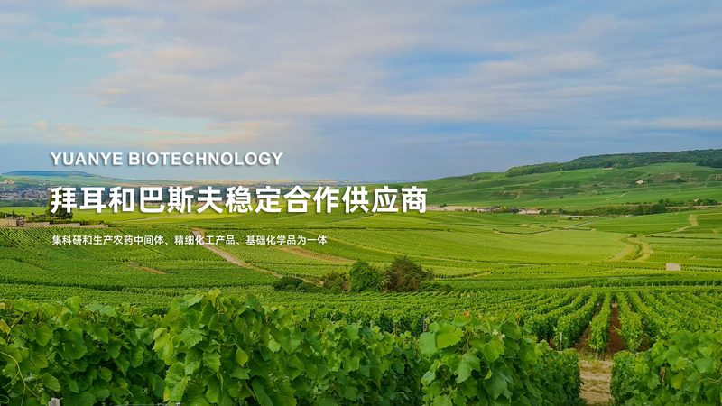 成都定制服务：CRo优化工具如何助力生物科技研发