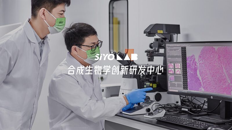 构建CRO数据分析流程团队的四大关键步骤
