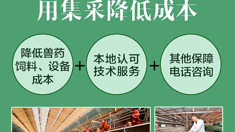 ADC药物CDMO生产厂家：揭秘ADC药物生产背后的关键因素