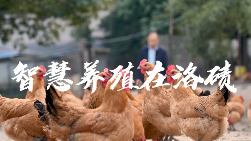 一次性细胞培养瓶材质分类：关键特性与选择指南