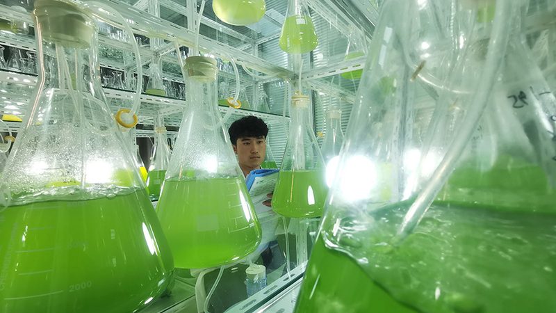elisa试剂盒使用注意事项